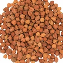 Chickpea grain dried with a Shomas Tractor Operated Mobile Grain Dryer